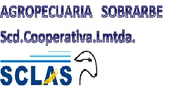 LogoSclas1.jpg