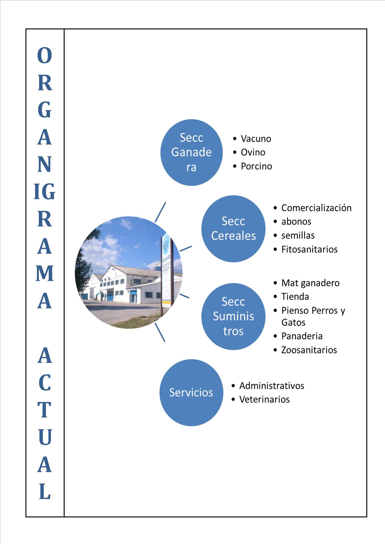 Organigrama4.jpg