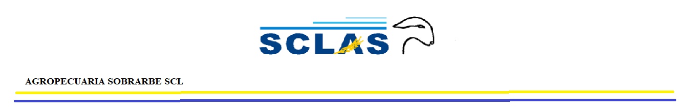 logosclas11.jpg