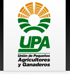 UPA