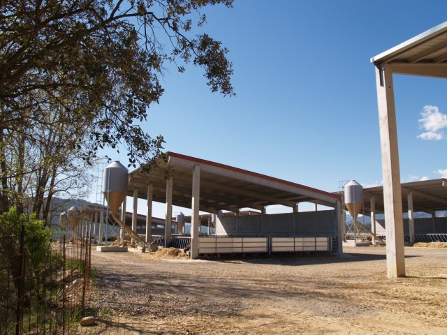 p1016312