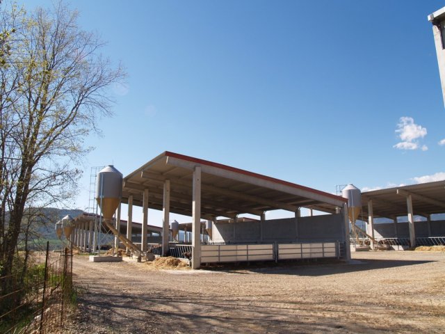 p1016313
