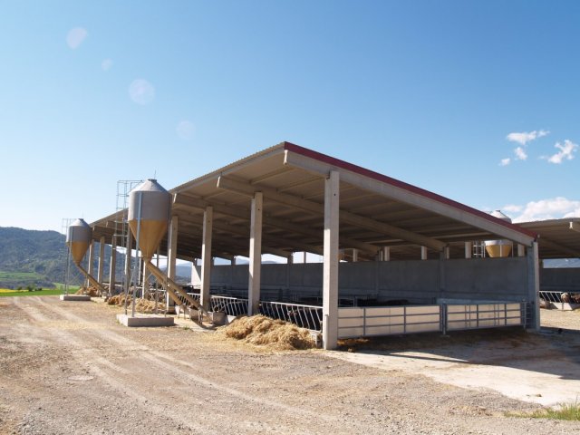 p1016317