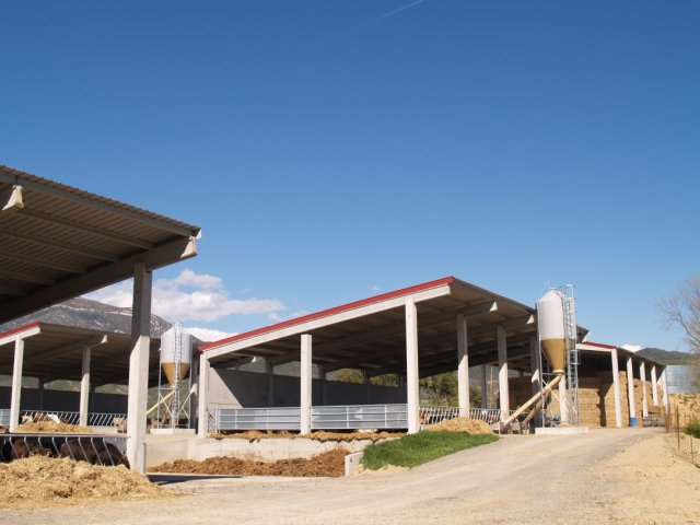 p1016318