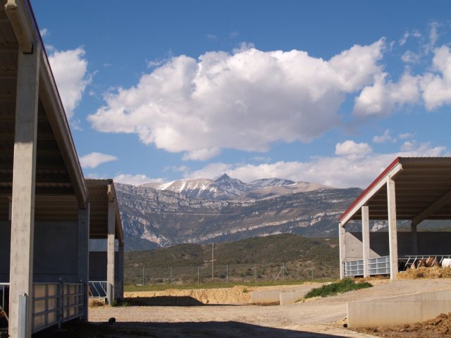 p1016323