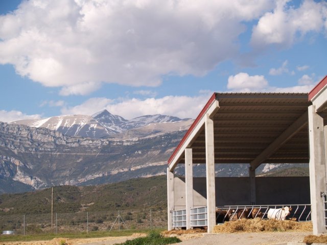 p1016324