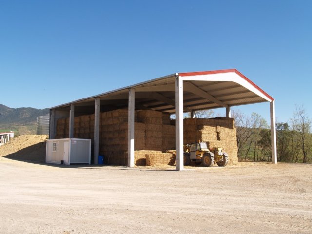 p1016329
