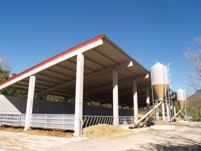 p1016332