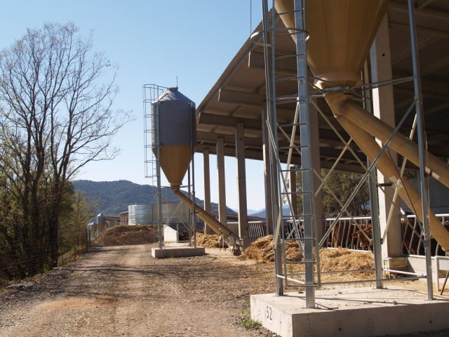 p1016334