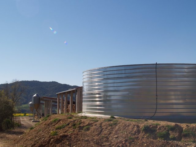p1016335