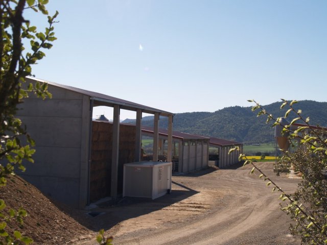 p1016336