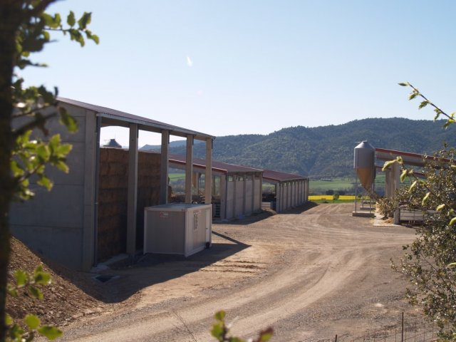 p1016337