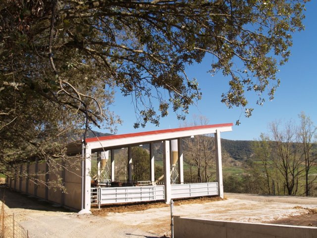 p1016338