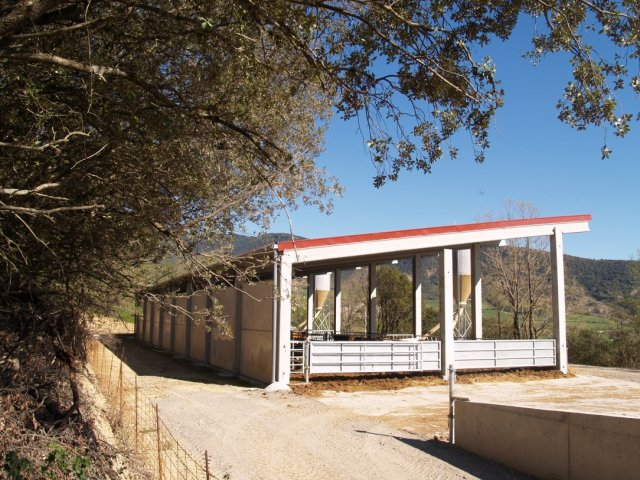 p1016339