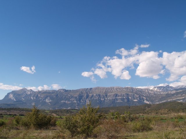 p1016343